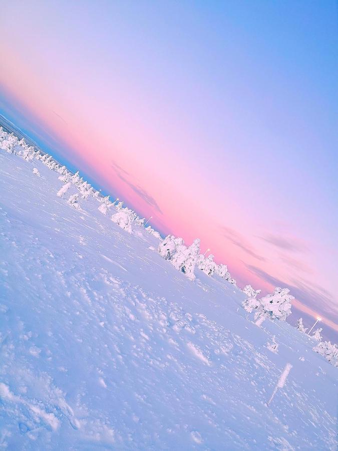 Levi Sky Igloo With Private Sauna And Hot Tub 외부 사진